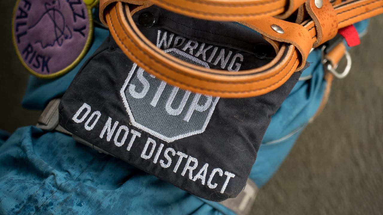 A service dog harness that says "working. stop. Do not distract."